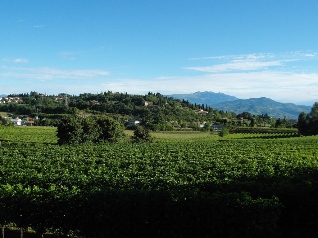 Cortecoraman Sommacampagna Exterior photo